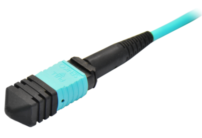 712x614 pat turkus MPO24.png