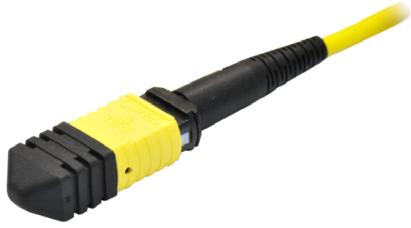 712x614 patchord BKT MPO24.png